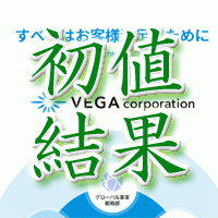 vega初値結果